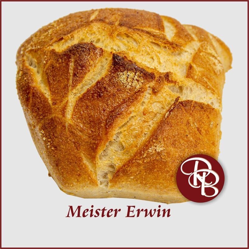 Meister Erwin