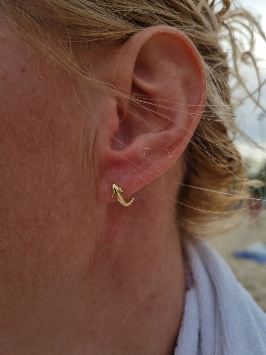 Gold Dolphin Earrings