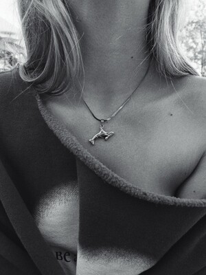 Silver Orca Necklace