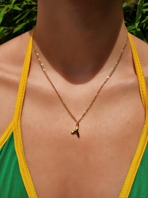 Shark Tooth Necklace