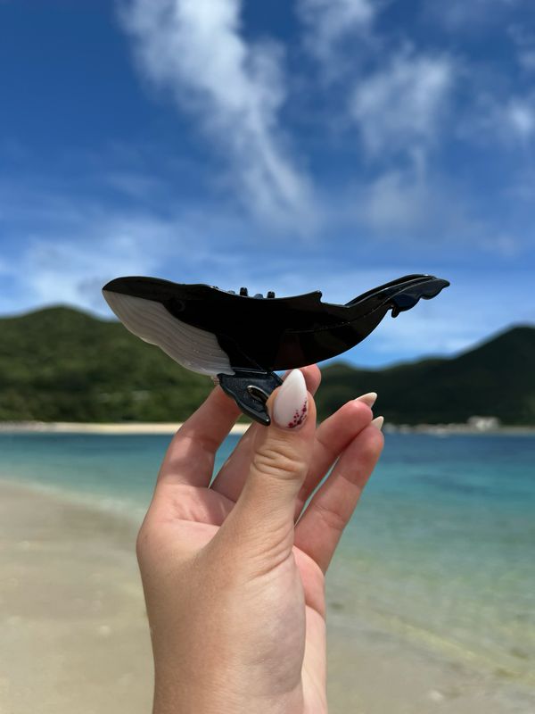 Black Whale Hair Clip