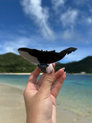 Black Whale Hair Clip