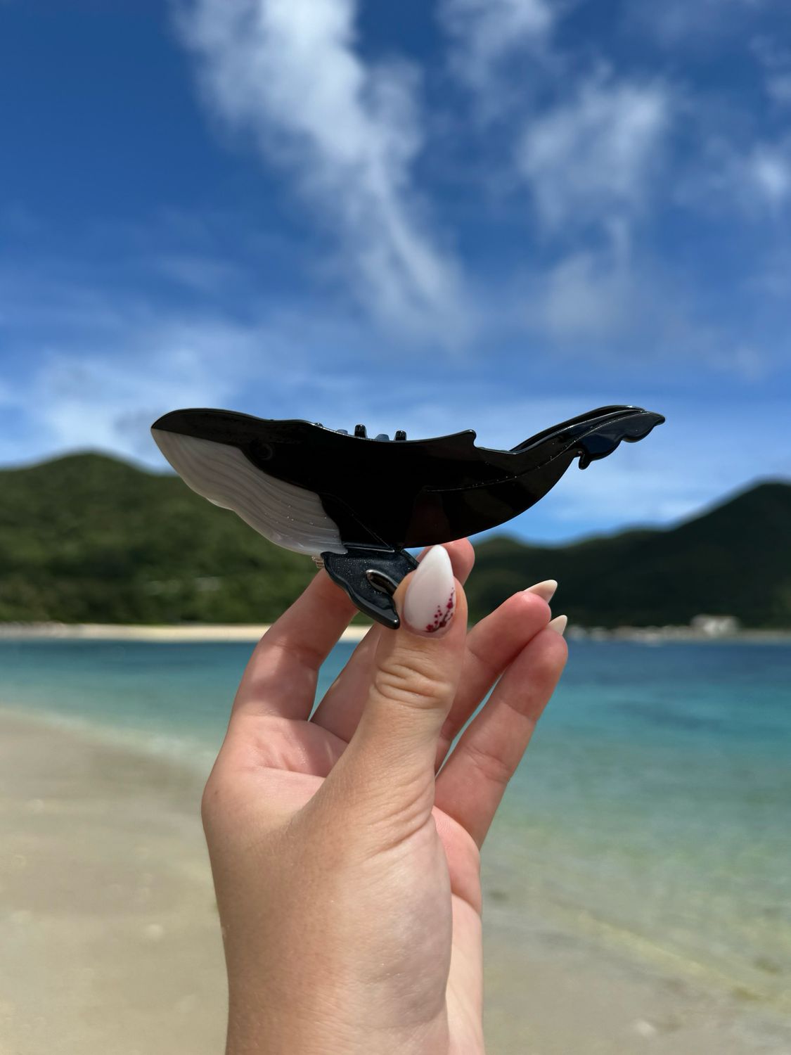 Black Whale Hair Clip