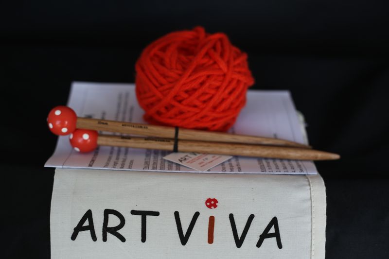 Learn to Knit Kit - Orange