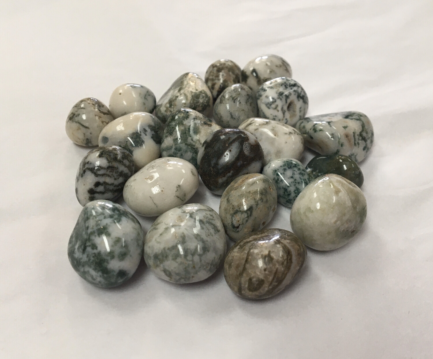 Dendritic Agate (Tree Agate)