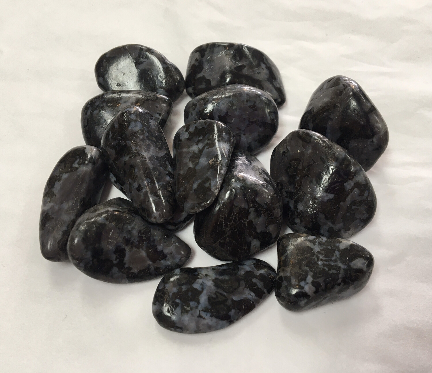 Indigo Gabbro
