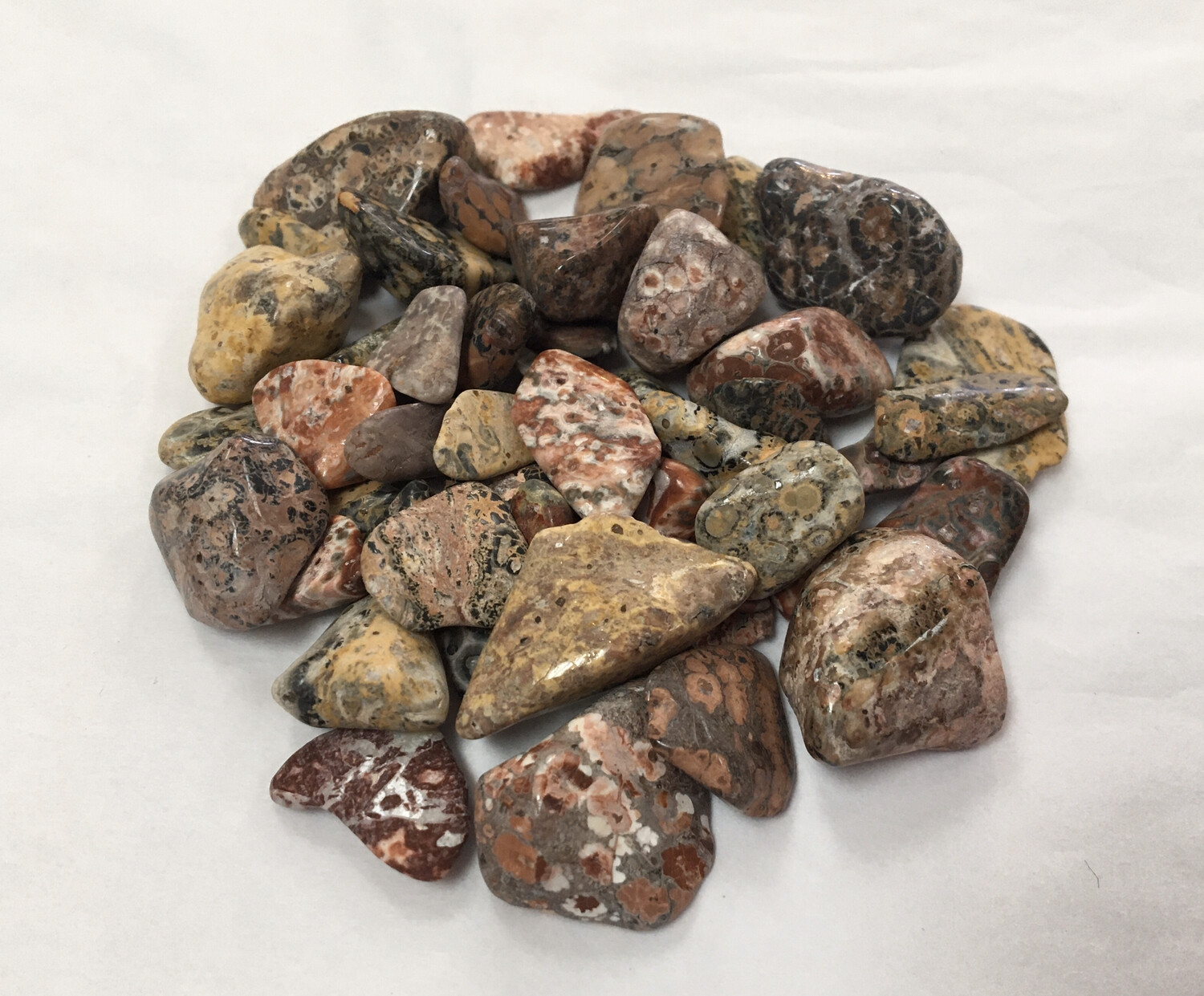 Leopard Skin Jasper