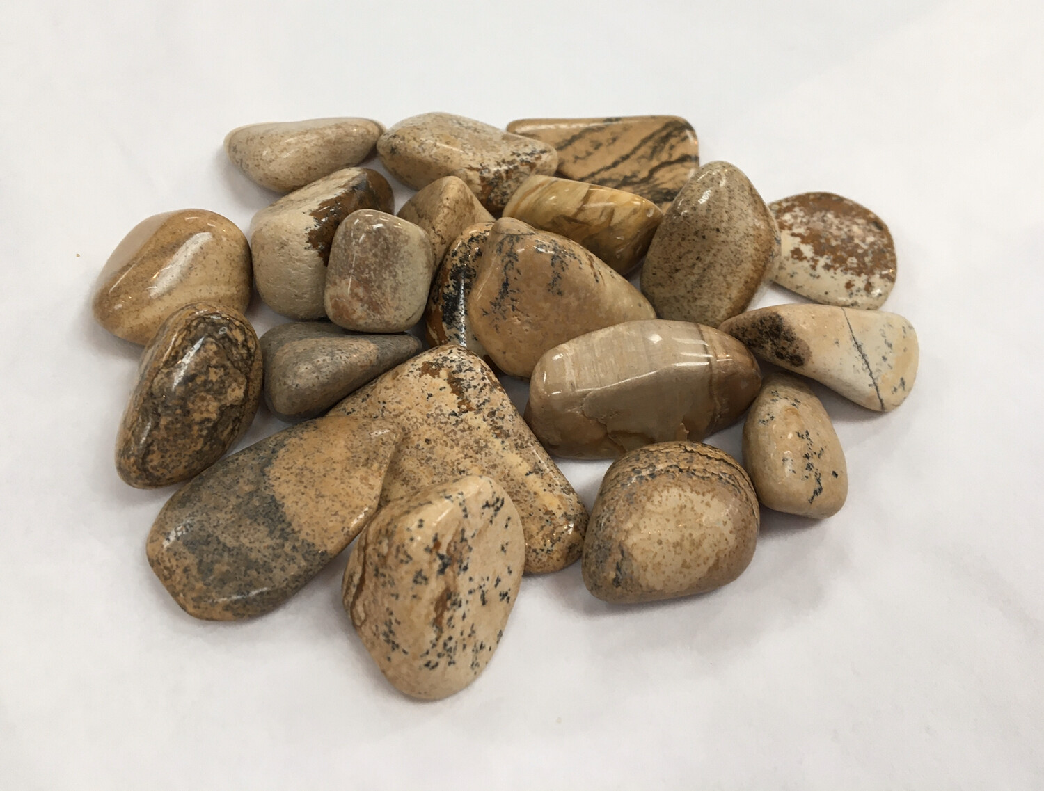 Picture Jasper