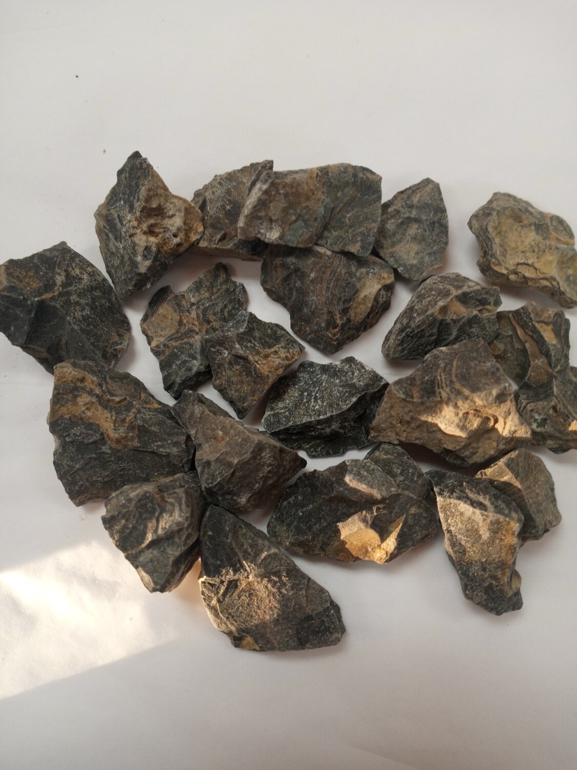Rough Stromatolite (Brown Onyx)