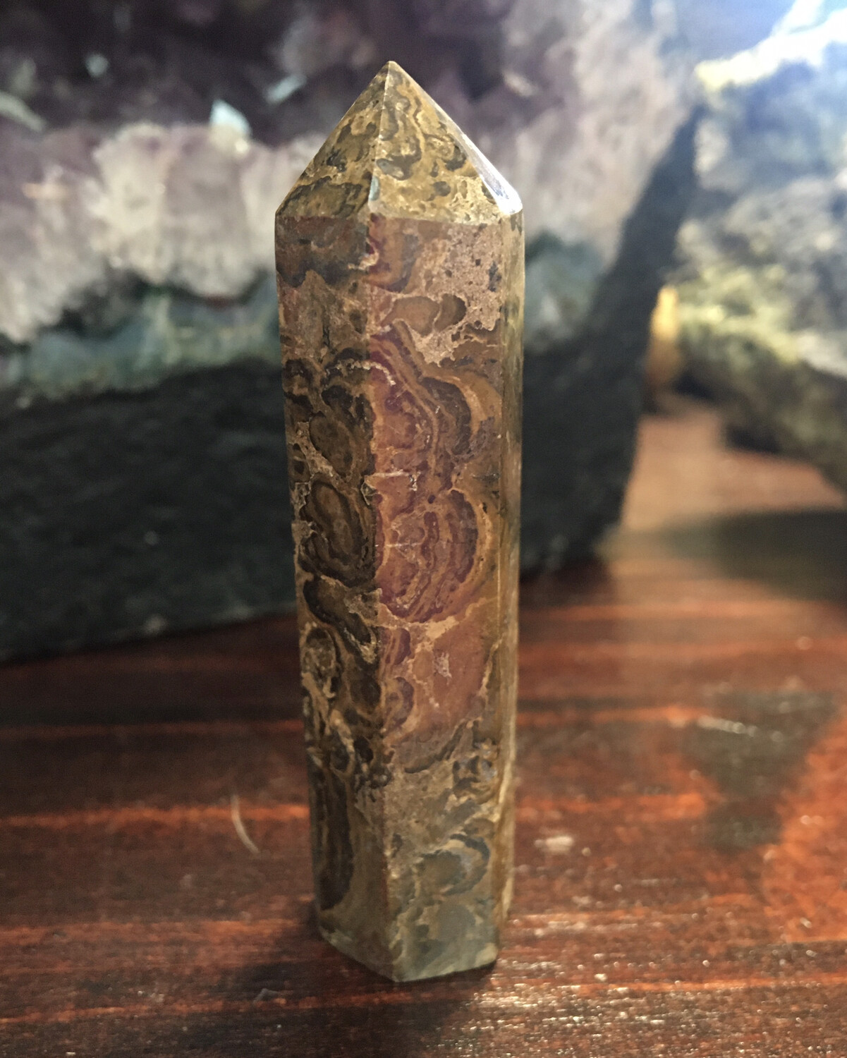 Stromatolite Point