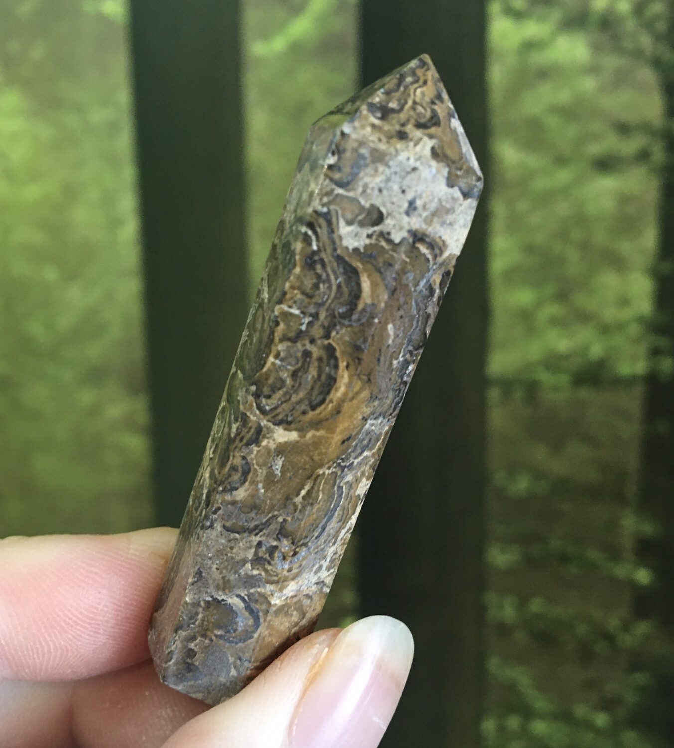 Stromatolite Point