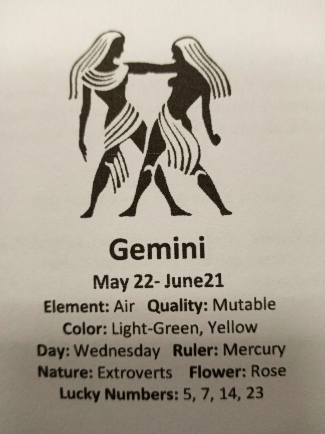 Gemini Stones pouch