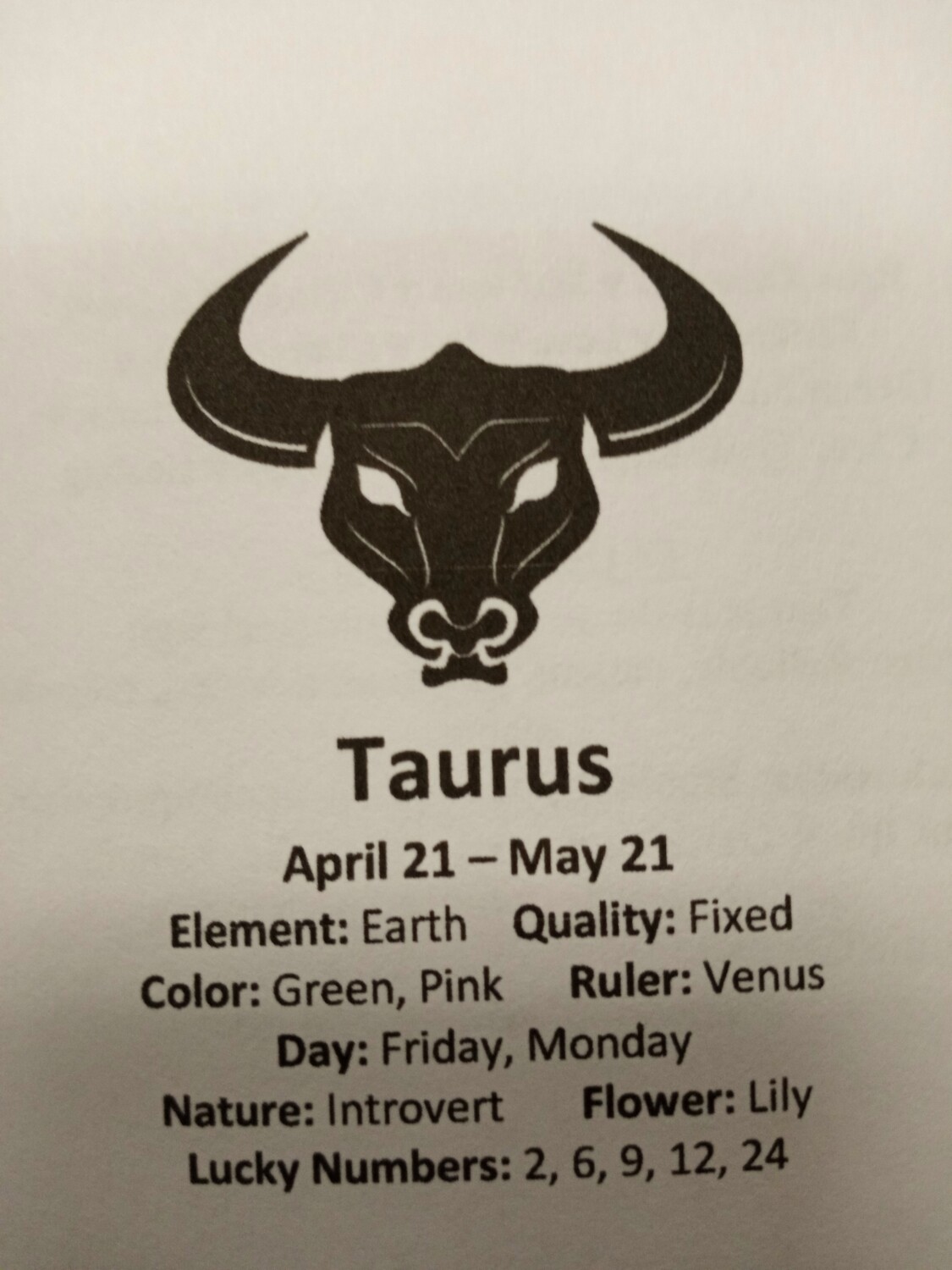 Taurus Stones pouch