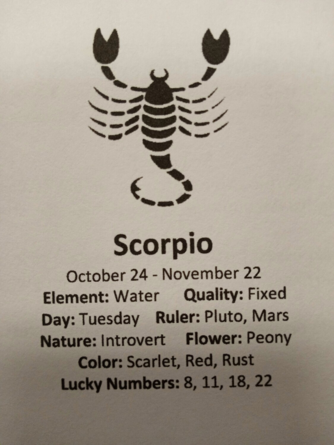 Scorpio Stones pouch