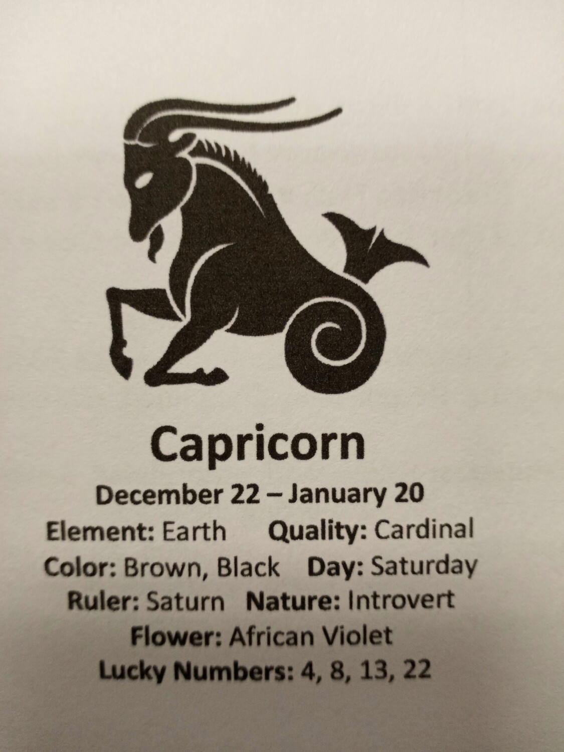 Capricorn Stones pouch
