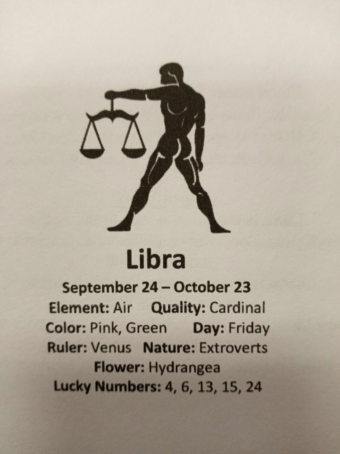 Libra Stones pouch