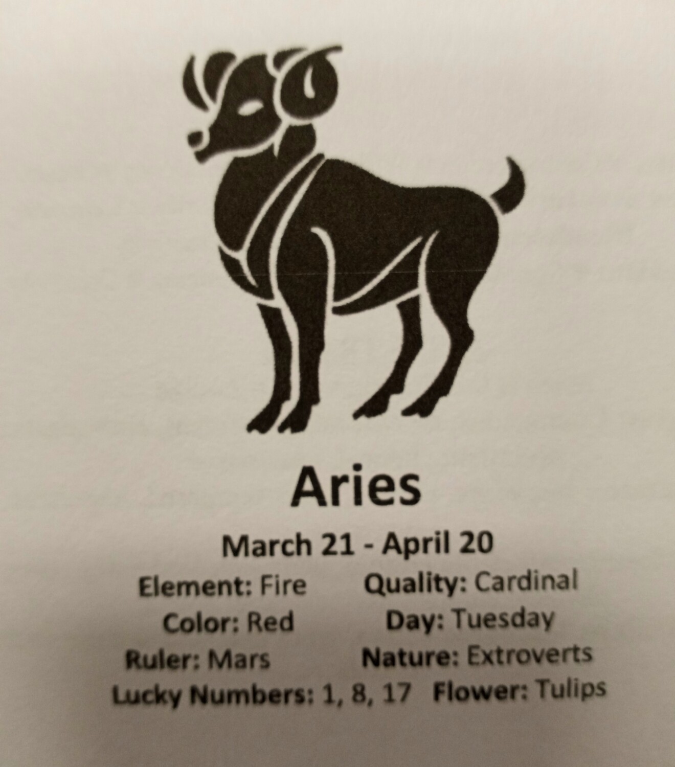 Aries Stones pouch