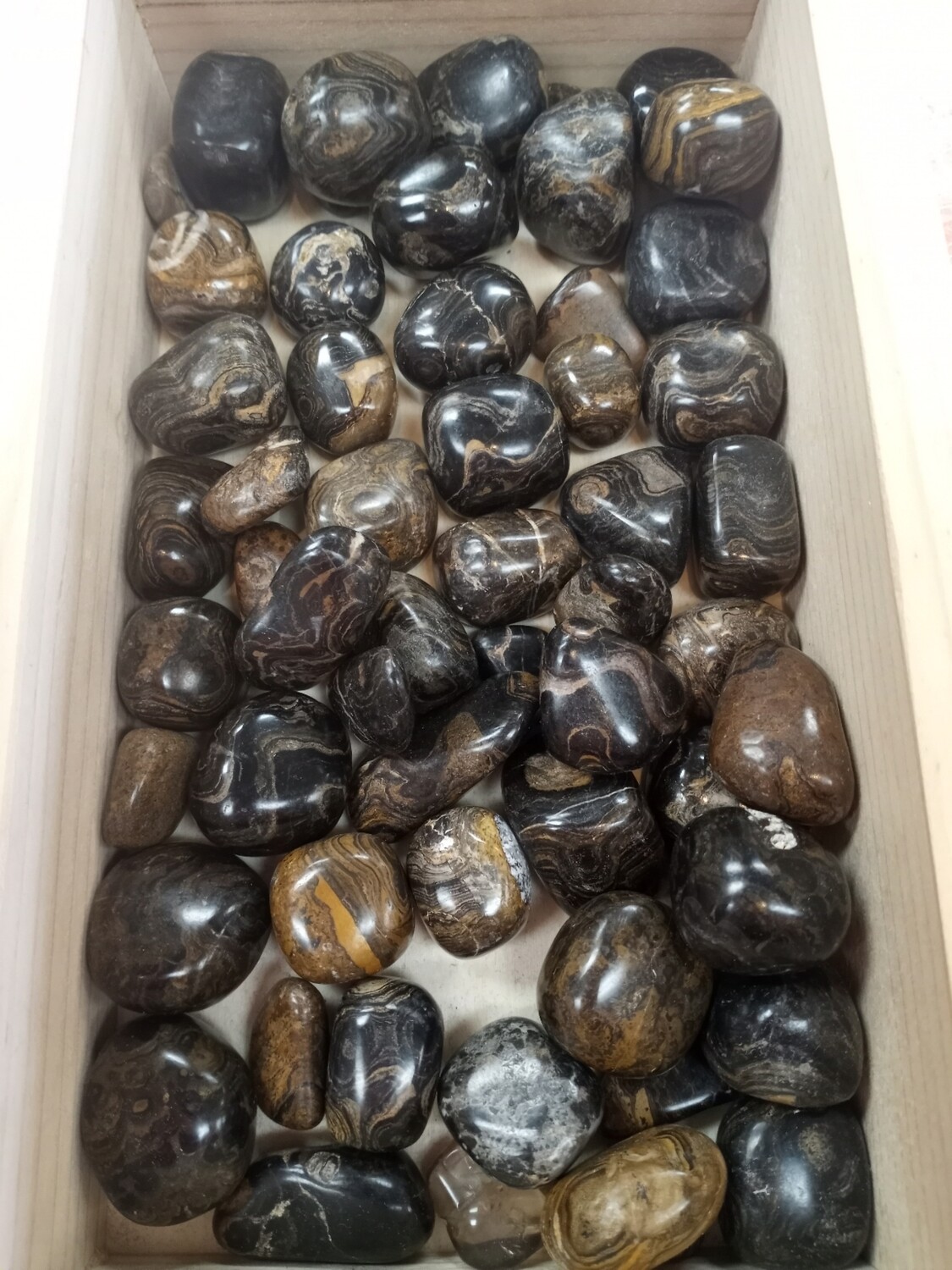 Stromatolite (Brown Onyx)