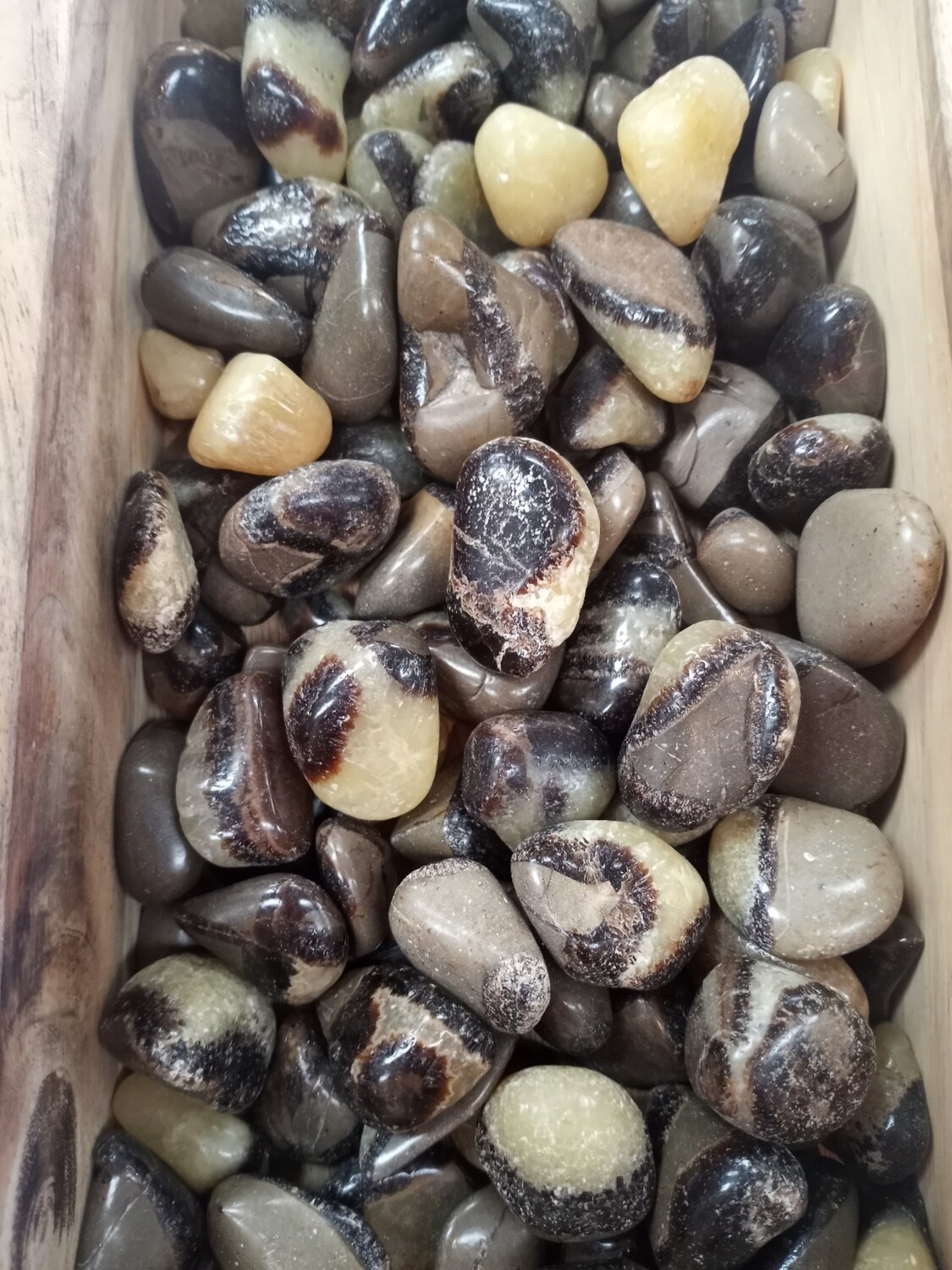 Septarian