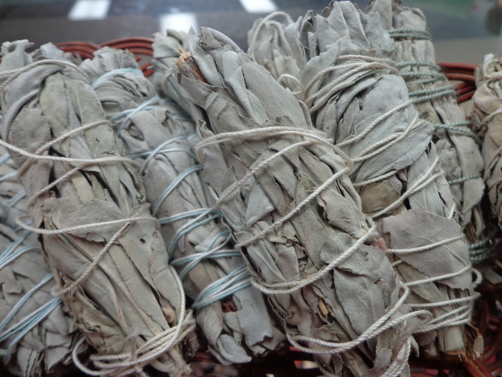 White Sage Sticks- 8- 9inch