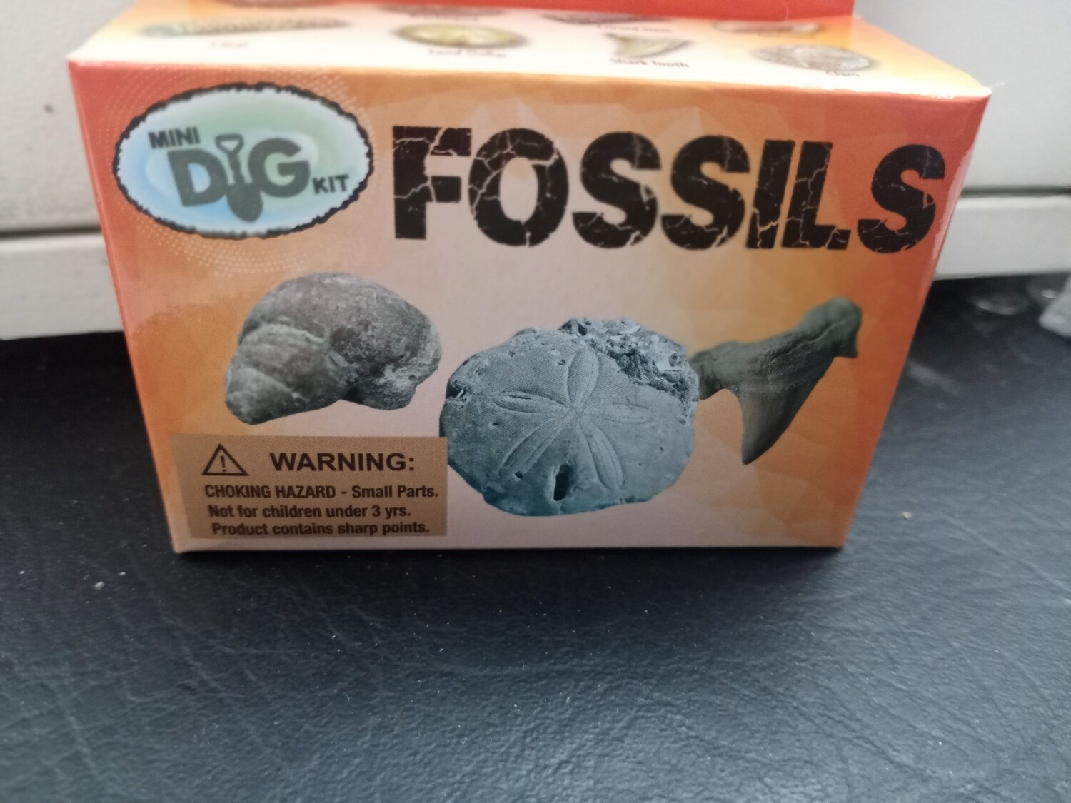 Fossil - Dig kit