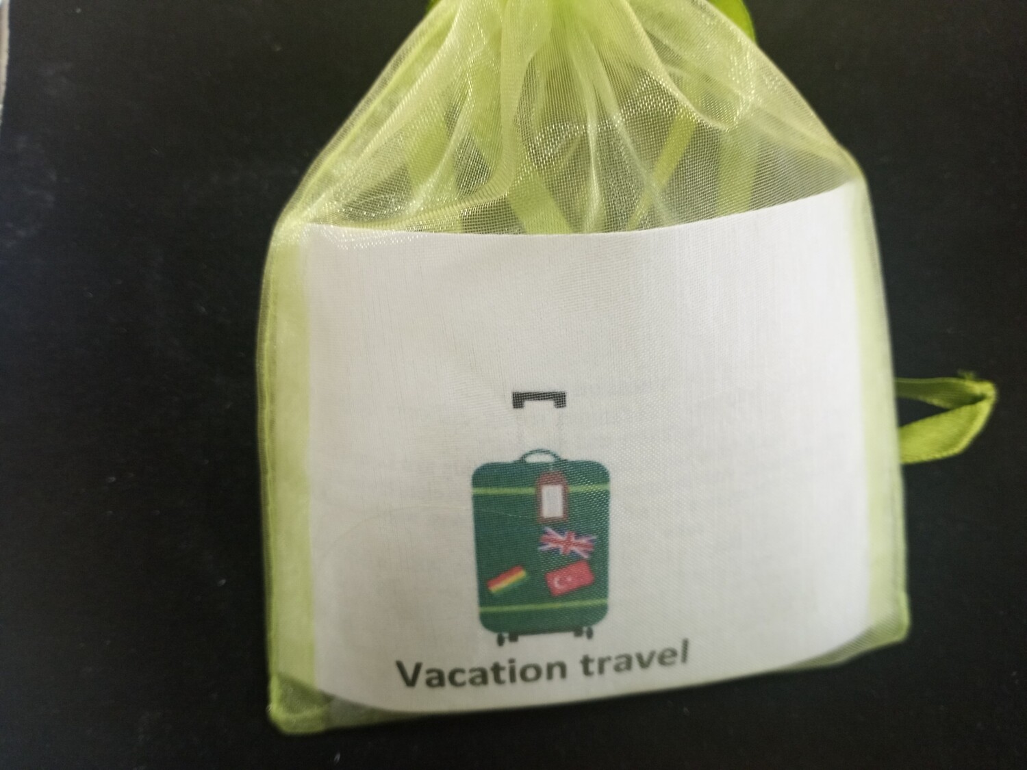 Vacation travel pouch