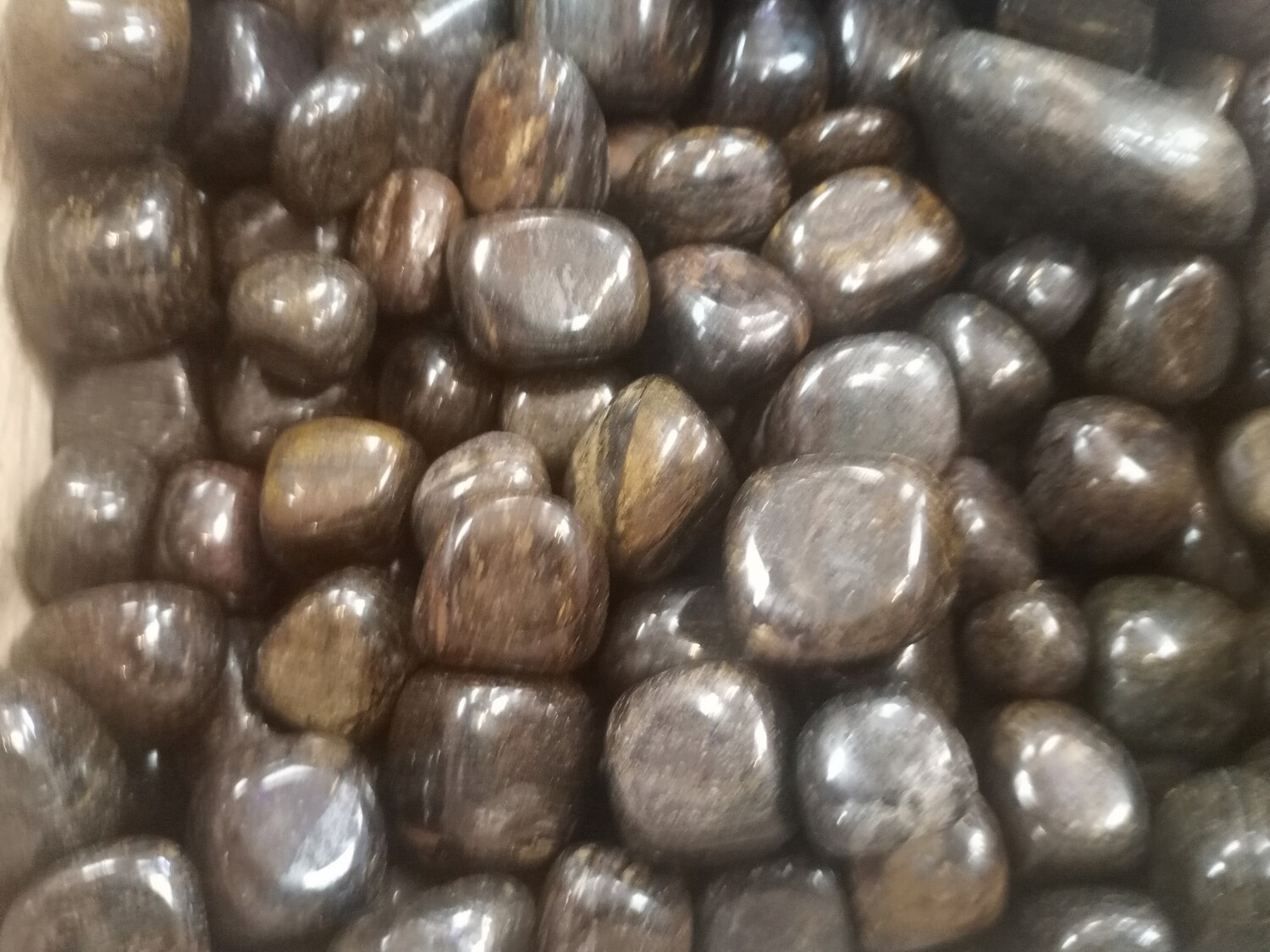 Bronzite