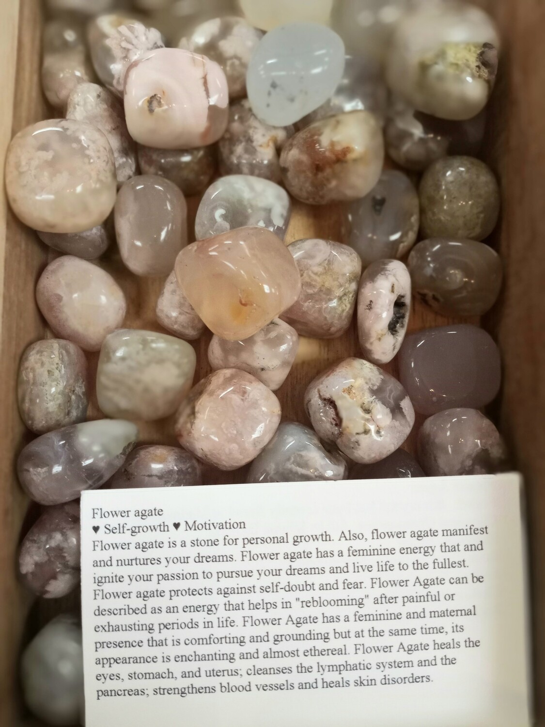 Flower Agate Flower Agate