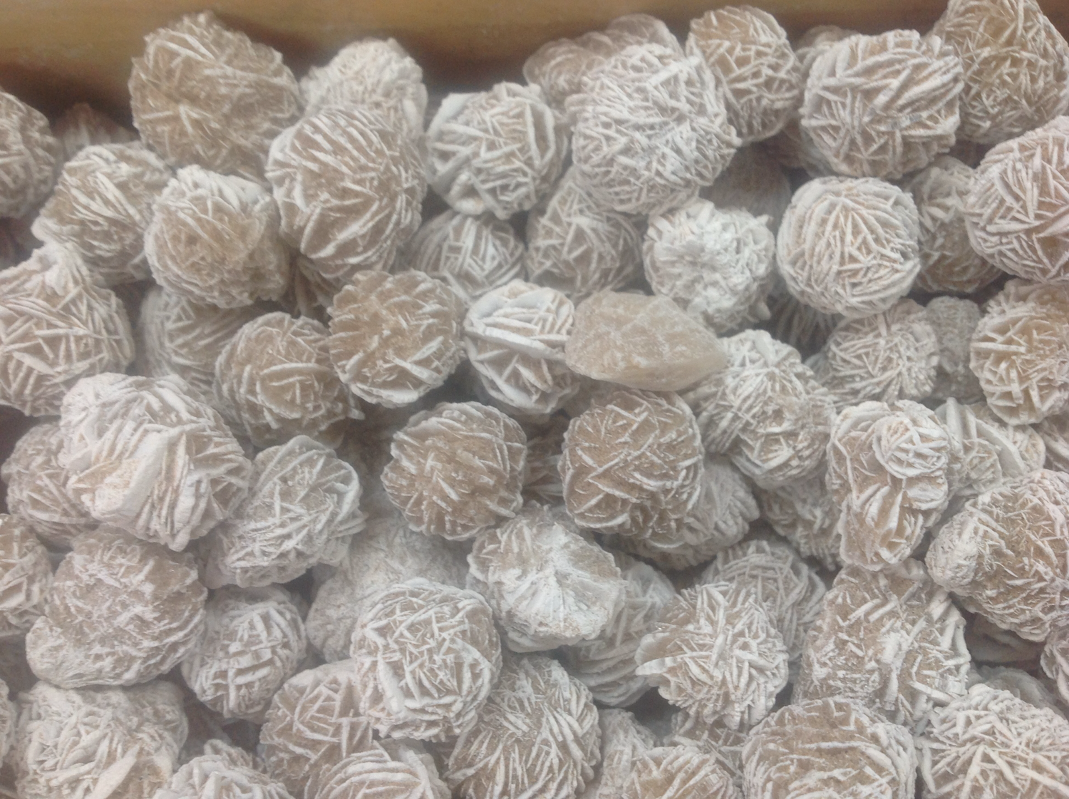 Rough Gypsum Rosettes