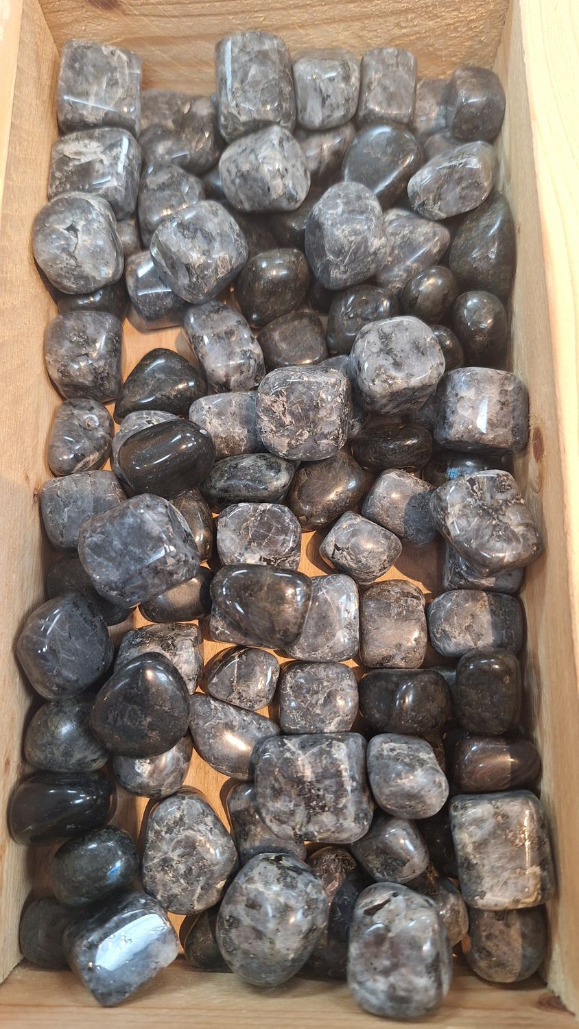 Indigo Gabbro