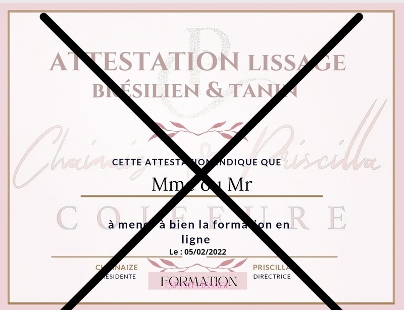 Attestation de formation EXPERT LISSAGE format A4