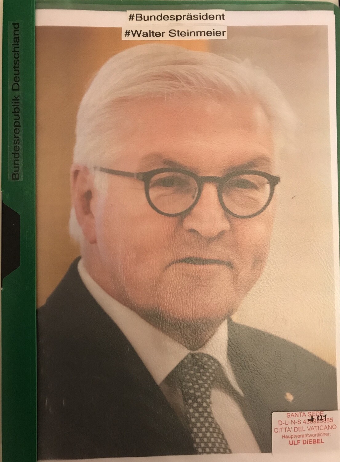 Bundespräsident Frank Walter Steinmeier