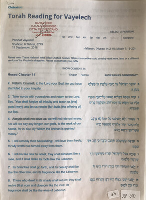 #U040 l Torah Reading for Vayelech l 6 Tishrei 5779 l 15th of September 2018