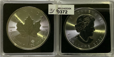 2020 Maple Leaf Certified 0372