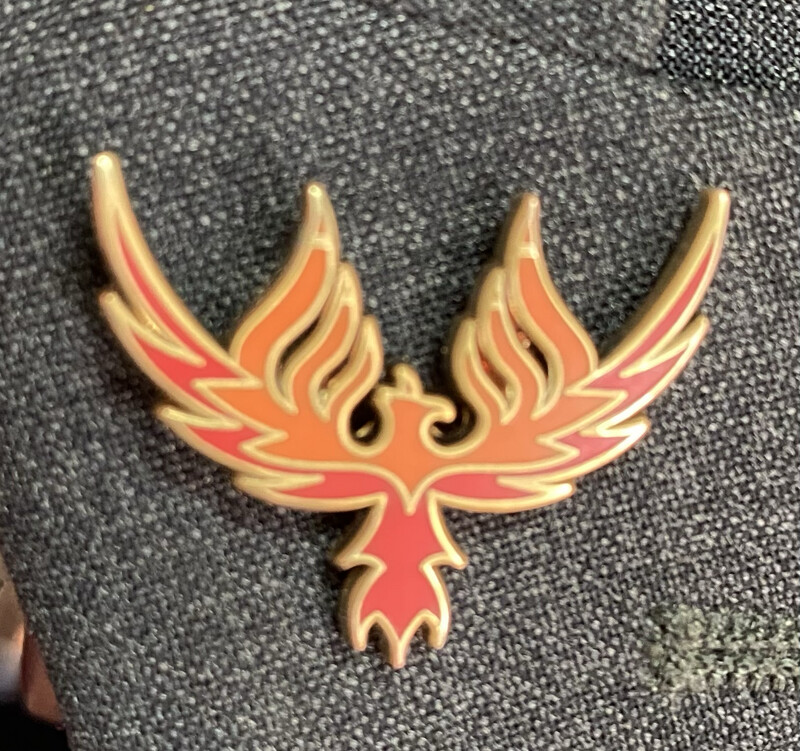 Nation of Ephraim Pin