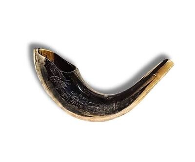 Authentic Ram Horn Shofar Polished Size 4