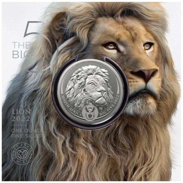 Big Five Lion 2022