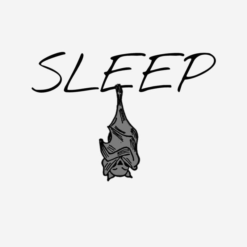Sleep