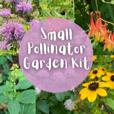 Small Pollinator Garden Kit - 25 sq. ft. of coverage