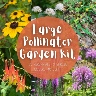 Large Pollinator Garden Kit - 40 sq. ft. of coverage