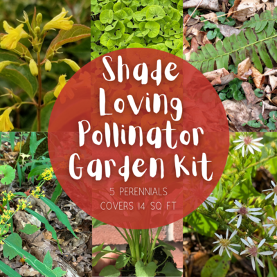 Shade Loving Pollinator Garden Kit - 14 sq. ft. of coverage (at maturity)