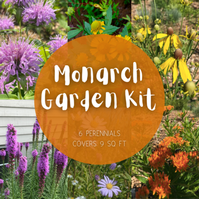Monarch Kit - 9 sq. ft. of coverage *NEW for 2024*