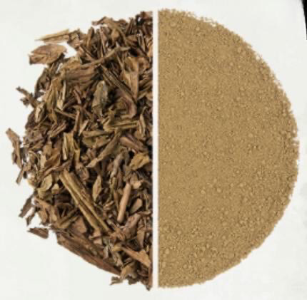 Hojicha Matcha