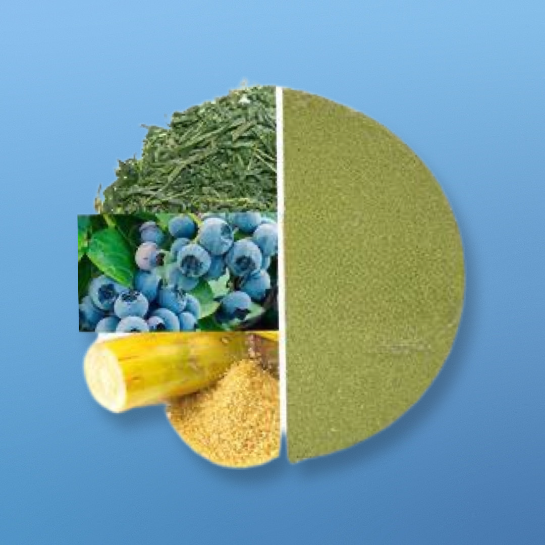 Sweet Wild Blueberry Matcha