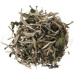 Silver Moonlight Wild White Tea