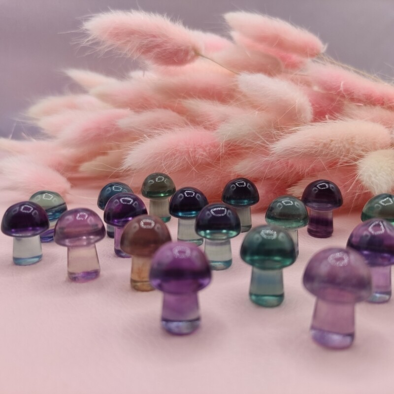 Pilz, Regenbogen Fluorit