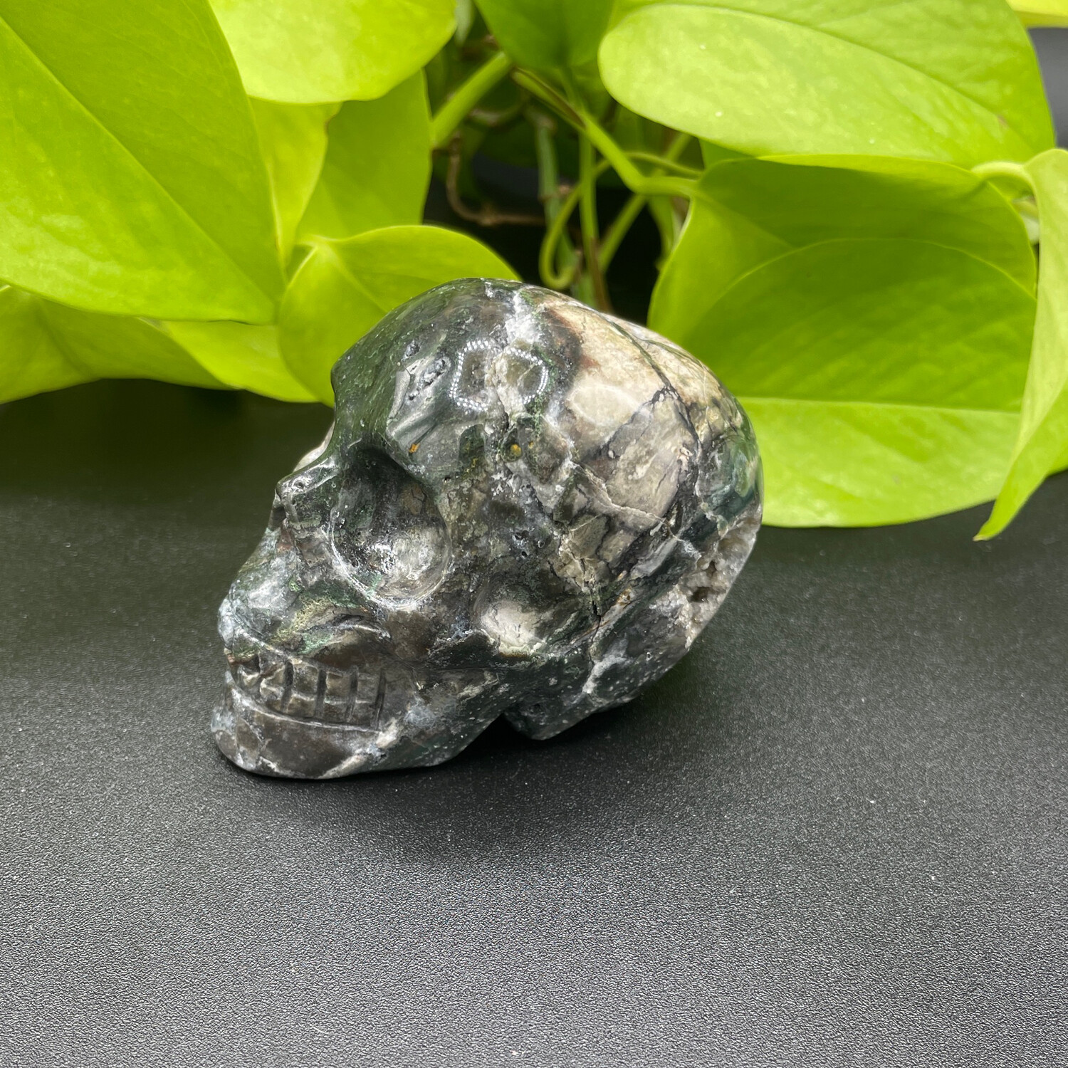 Ozean Jaspis Totenkopf