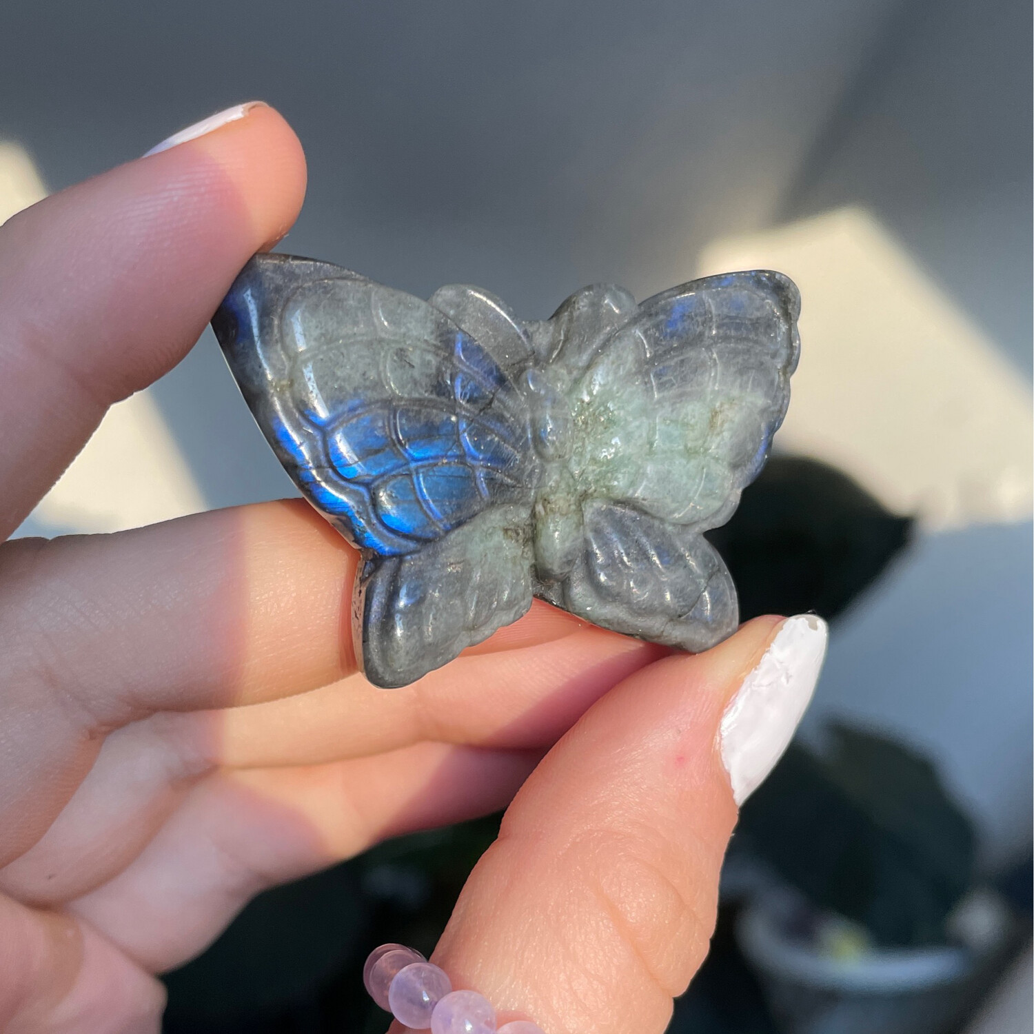 Schmetterling, Labradorit