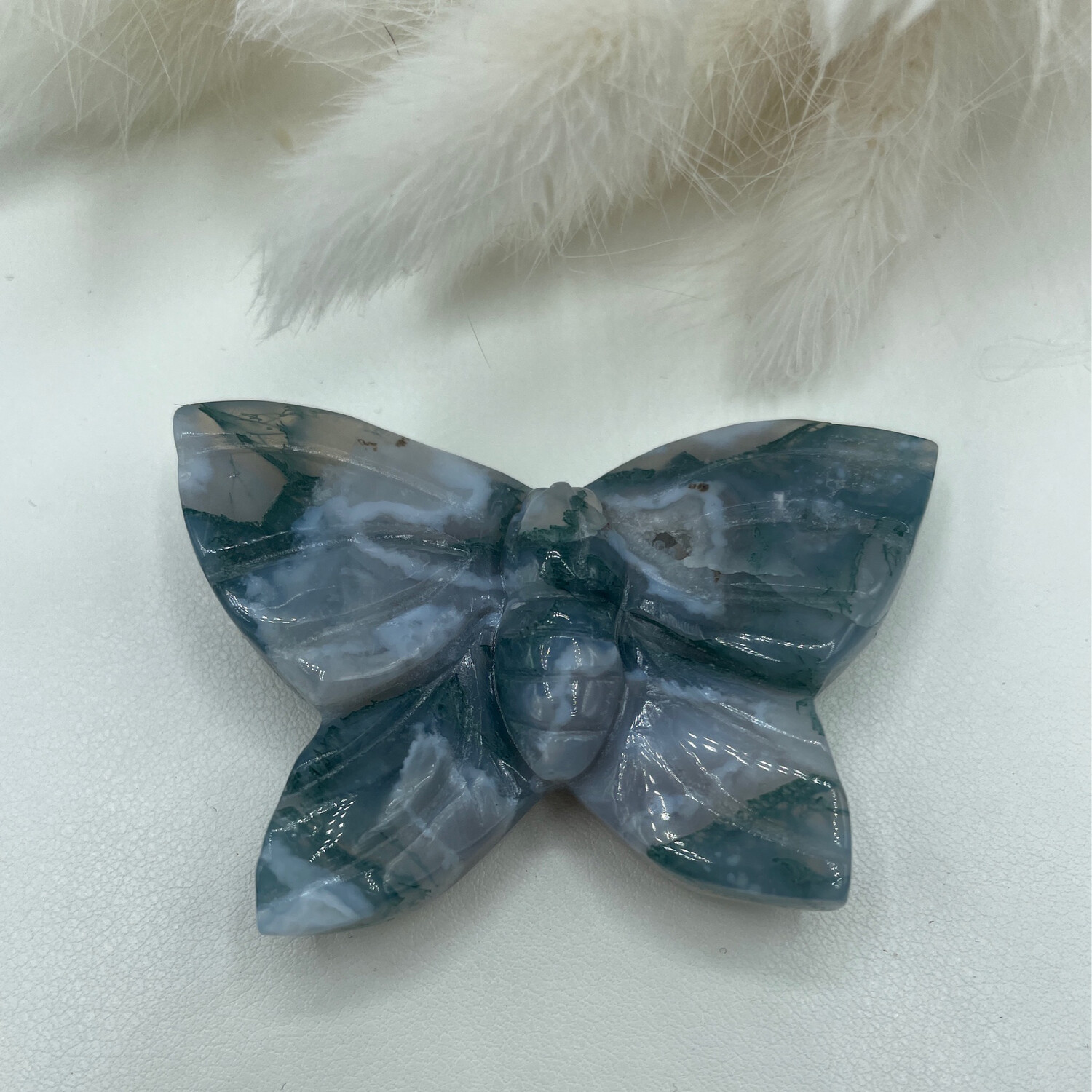 Schmetterling Moos Achat