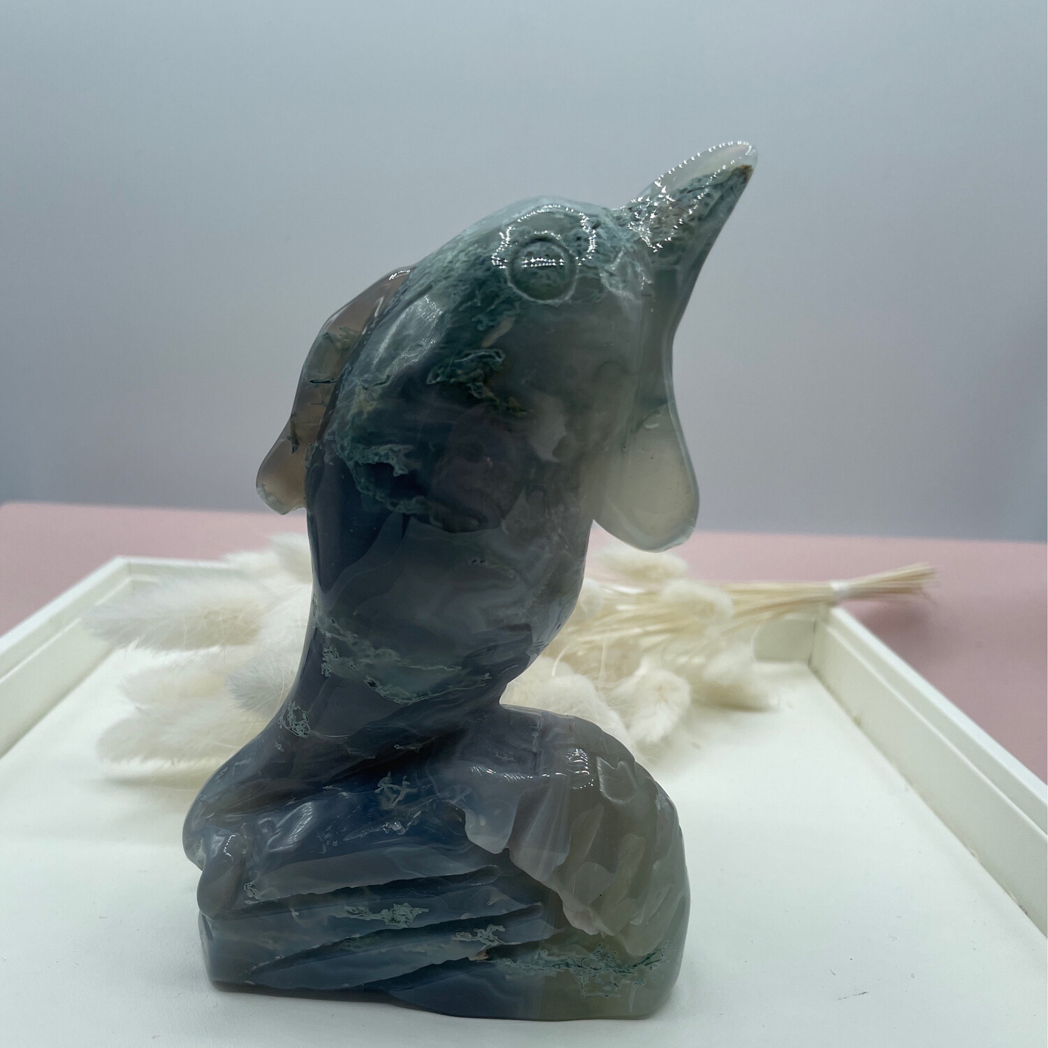 Delfin Moosachat